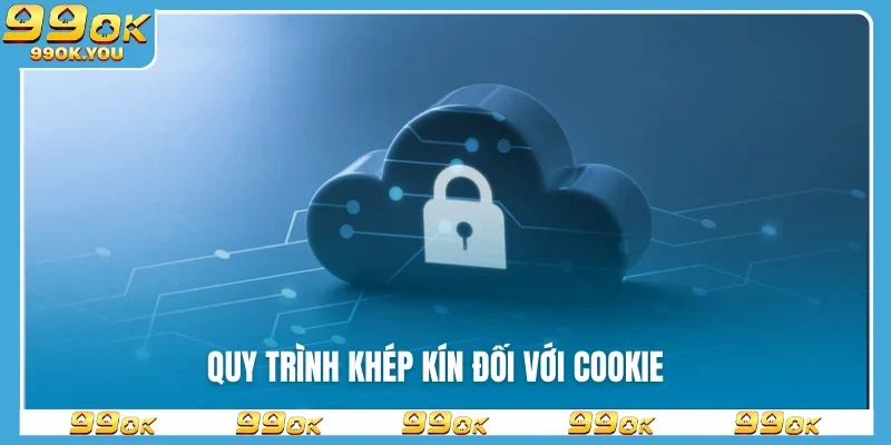 quy-trinh-khep-kin-doi-voi-cookie